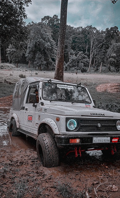 尼亚的一段 尼亚的一段