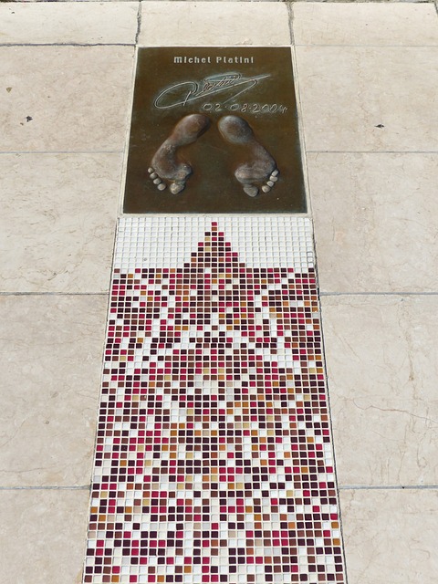 國家隊輸送 國家隊輸送