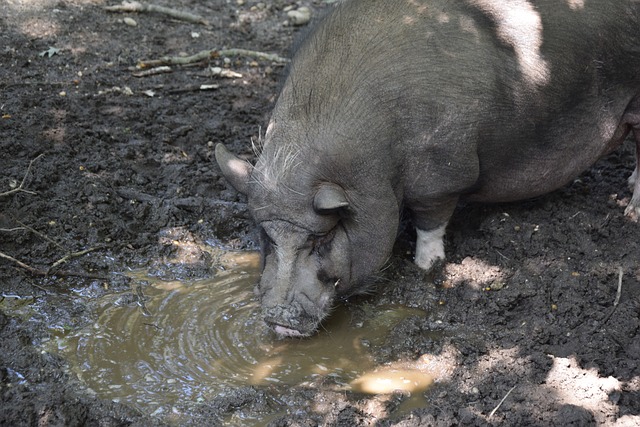 员之间的融 员之间的融