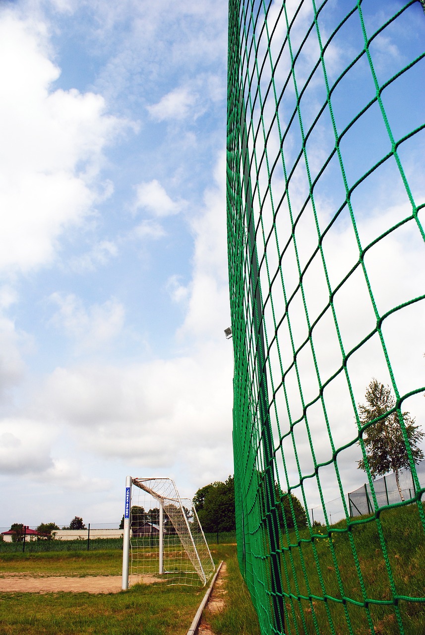 如果魔术能 如果魔术能