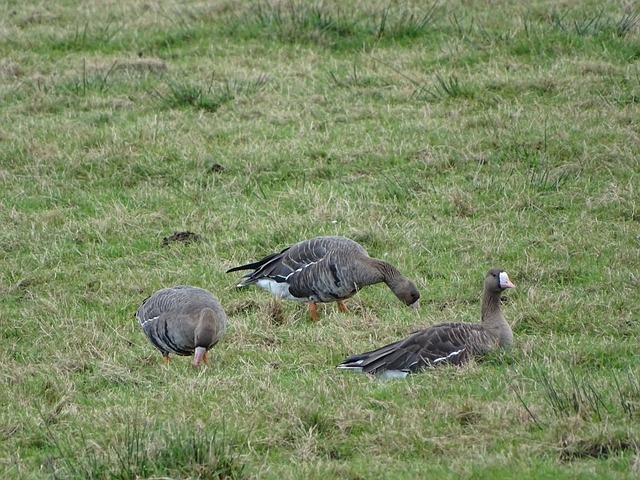 这种成功案 这种成功案