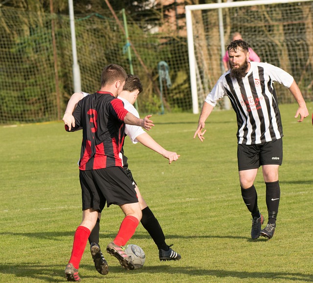 新的大门 新的大门