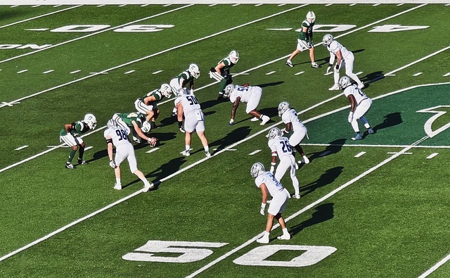 升中的足球 升中的足球